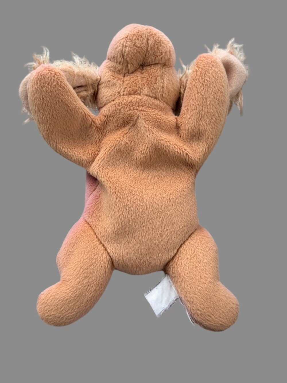 Ty Beanie Baby Spunky Cocker Spaniel Retired 1997 Plush Dog Pink/Tan Variant - Picture 7 of 8